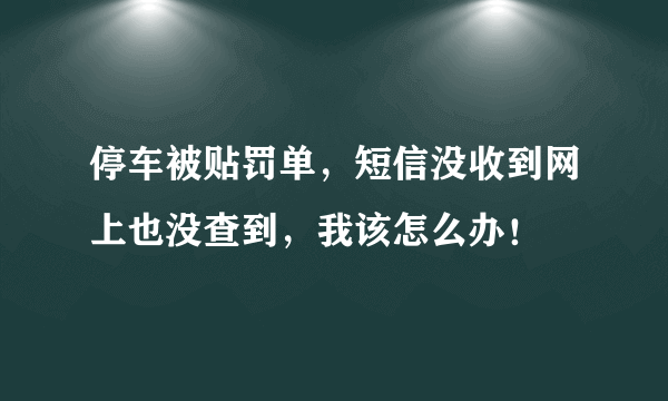 停车被贴罚单，短信没收到网上也没查到，我该怎么办！