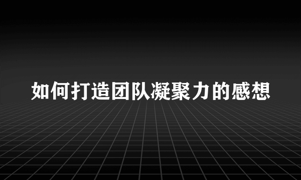 如何打造团队凝聚力的感想