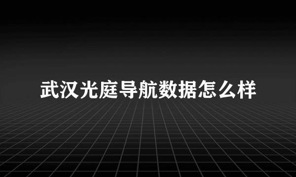 武汉光庭导航数据怎么样