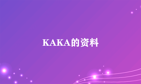 KAKA的资料