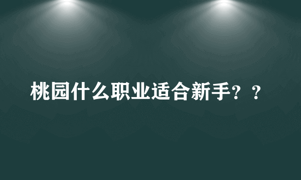 桃园什么职业适合新手？？