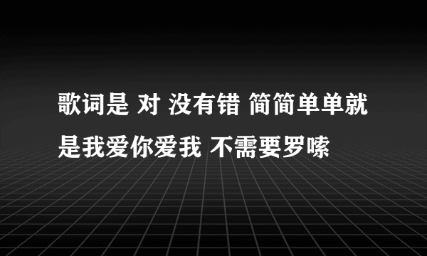 歌词是 对 没有错 简简单单就是我爱你爱我 不需要罗嗦