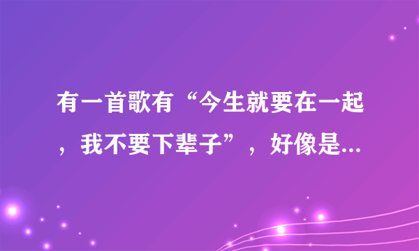 有一首歌有“今生就要在一起，我不要下辈子”，好像是dj的。