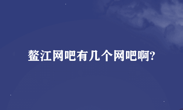 鳌江网吧有几个网吧啊?