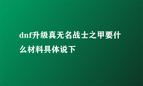 dnf升级真无名战士之甲要什么材料具体说下