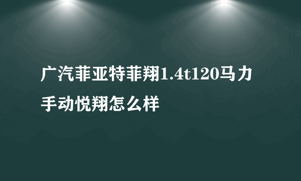 广汽菲亚特菲翔1.4t120马力手动悦翔怎么样