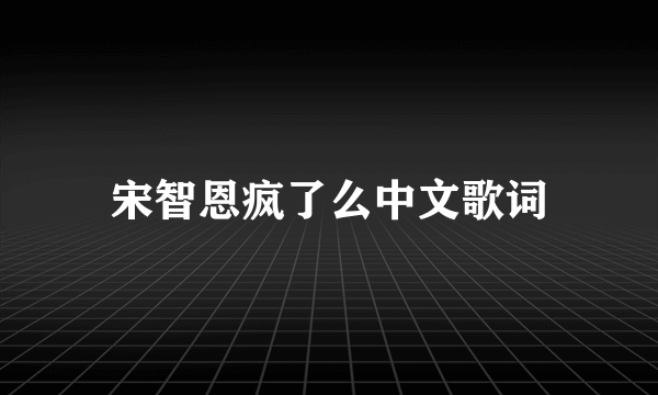 宋智恩疯了么中文歌词