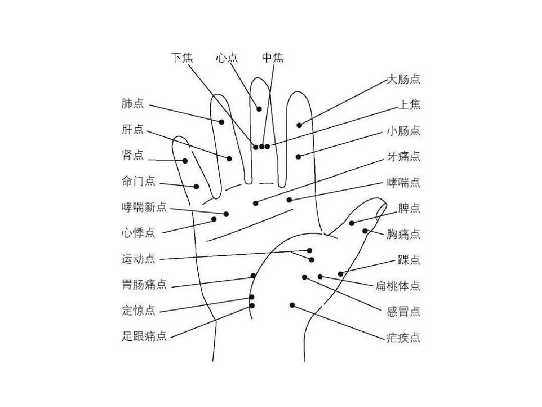 手上六条经络分别是哪几个手指