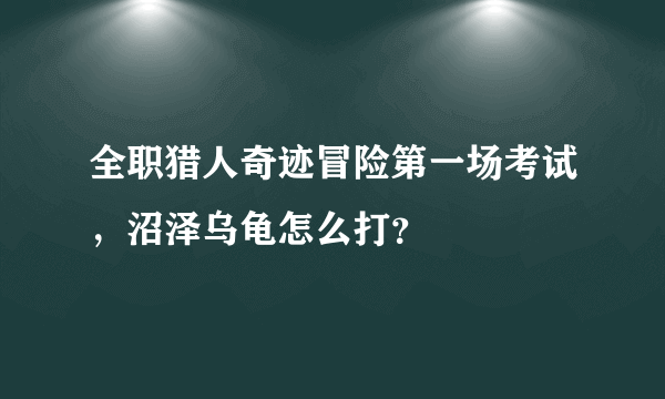 全职猎人奇迹冒险第一场考试，沼泽乌龟怎么打？