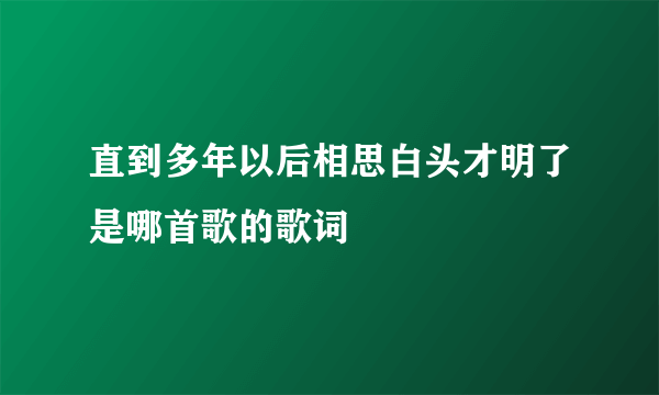 直到多年以后相思白头才明了是哪首歌的歌词