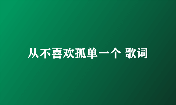 从不喜欢孤单一个 歌词