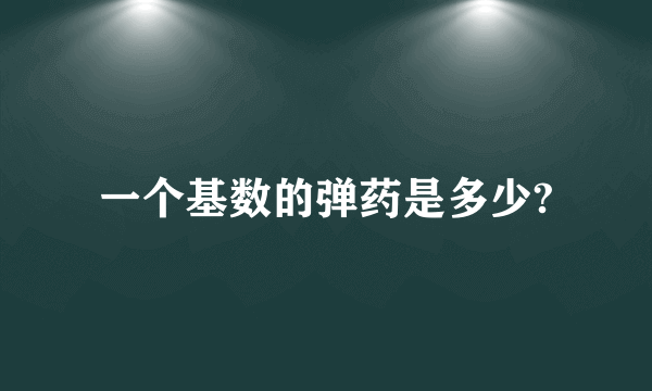 一个基数的弹药是多少?