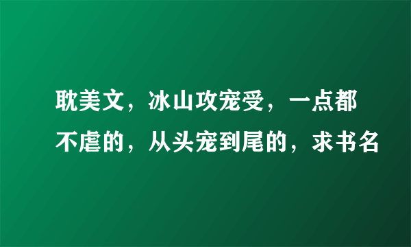 耽美文，冰山攻宠受，一点都不虐的，从头宠到尾的，求书名