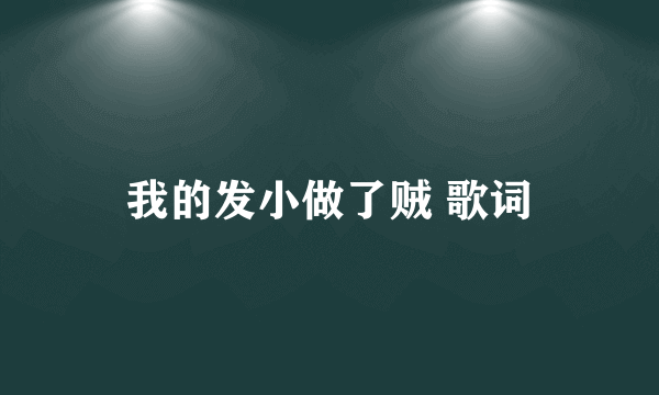 我的发小做了贼 歌词