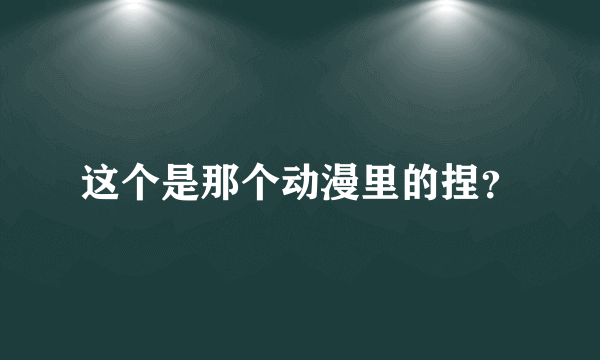 这个是那个动漫里的捏？