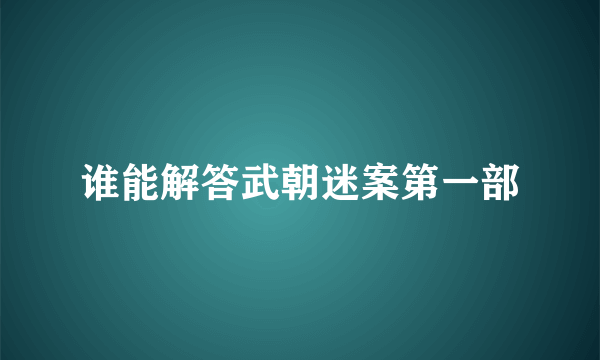 谁能解答武朝迷案第一部