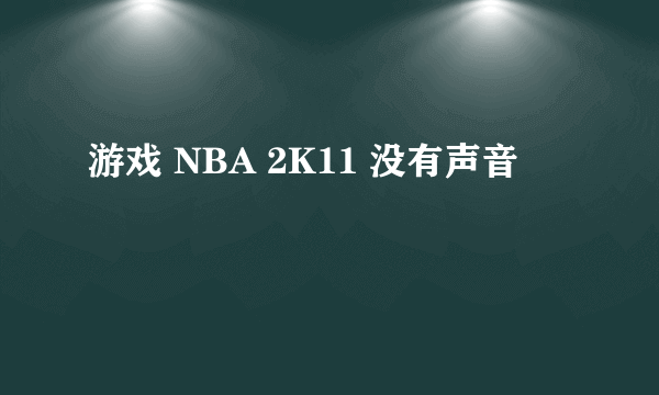 游戏 NBA 2K11 没有声音