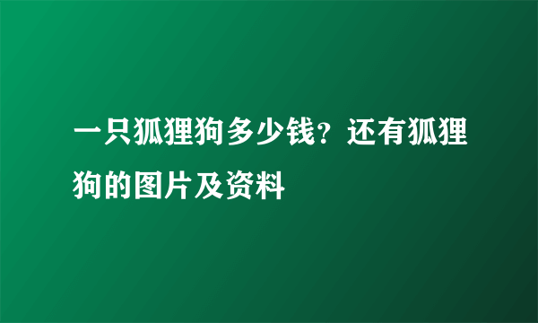 一只狐狸狗多少钱？还有狐狸狗的图片及资料