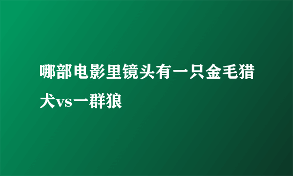 哪部电影里镜头有一只金毛猎犬vs一群狼