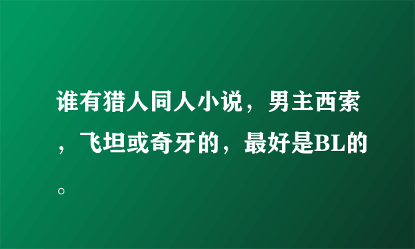 谁有猎人同人小说，男主西索，飞坦或奇牙的，最好是BL的。