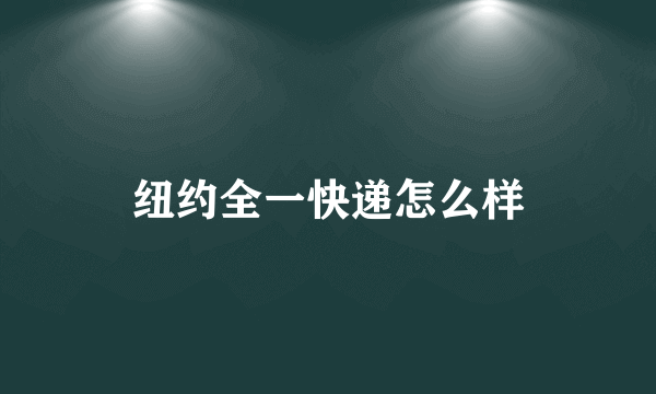 纽约全一快递怎么样