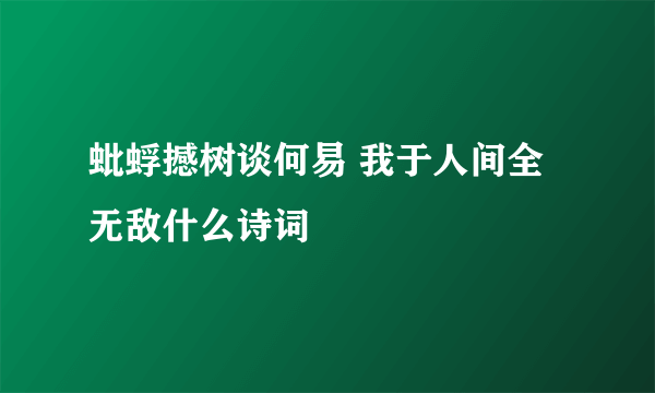 蚍蜉撼树谈何易 我于人间全无敌什么诗词