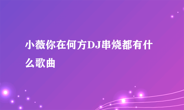 小薇你在何方DJ串烧都有什么歌曲