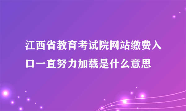 江西省教育考试院网站缴费入口一直努力加载是什么意思