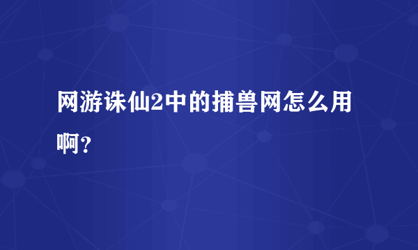 网游诛仙2中的捕兽网怎么用啊？