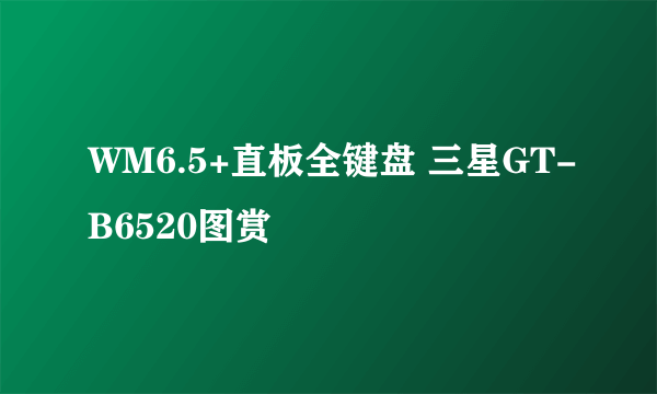 WM6.5+直板全键盘 三星GT-B6520图赏