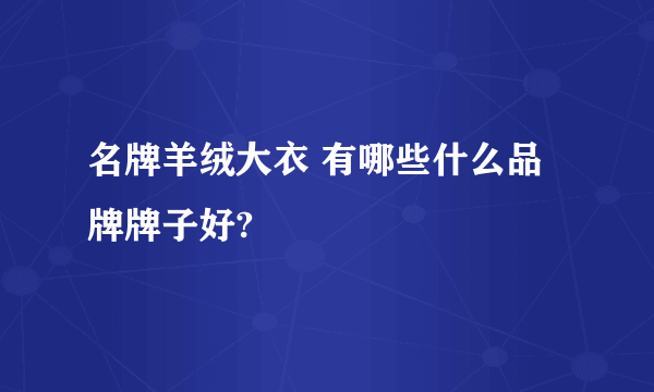 名牌羊绒大衣 有哪些什么品牌牌子好?