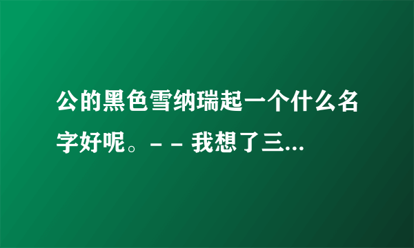 公的黑色雪纳瑞起一个什么名字好呢。- - 我想了三天了 实在想不出来