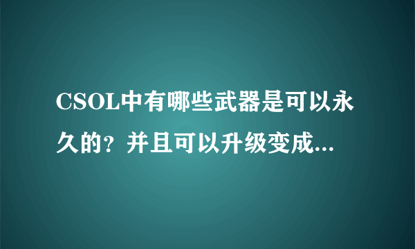 CSOL中有哪些武器是可以永久的？并且可以升级变成更牛的枪型？？ （详细）