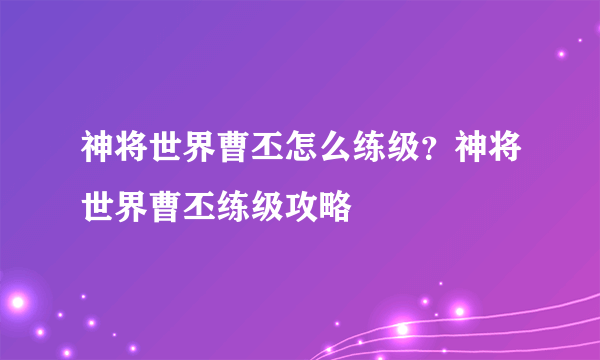 神将世界曹丕怎么练级？神将世界曹丕练级攻略