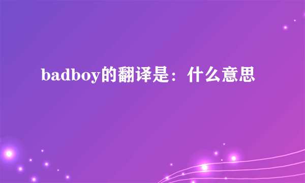 badboy的翻译是：什么意思