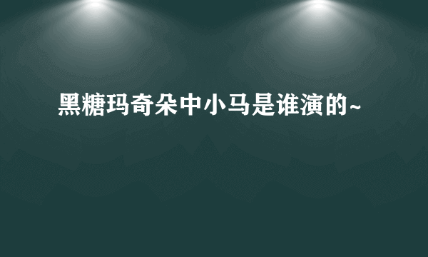 黑糖玛奇朵中小马是谁演的~