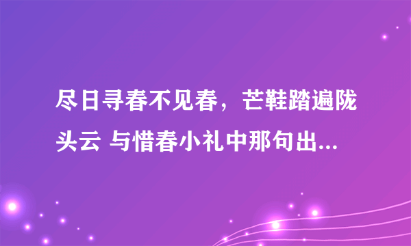 尽日寻春不见春，芒鞋踏遍陇头云 与惜春小礼中那句出自同一首诗