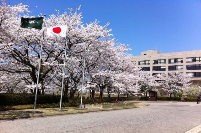 日本多所大学收到恐吓邮件，发邮件的人有什么目的？