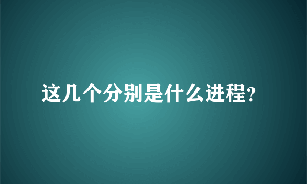 这几个分别是什么进程？