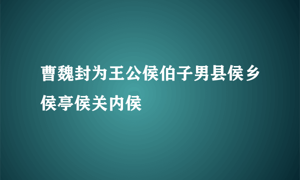 曹魏封为王公侯伯子男县侯乡侯亭侯关内侯