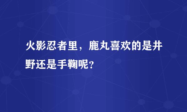 火影忍者里，鹿丸喜欢的是井野还是手鞠呢？