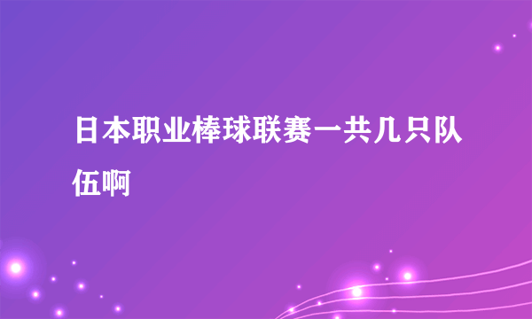 日本职业棒球联赛一共几只队伍啊