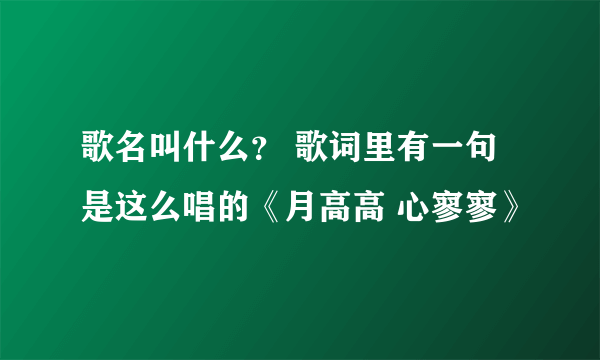 歌名叫什么？ 歌词里有一句是这么唱的《月高高 心寥寥》