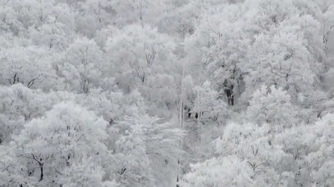 河南多景区飘起鹅毛大雪，今年河南下雪是否比往年早多了？