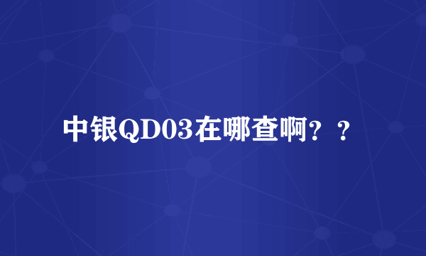 中银QD03在哪查啊？？