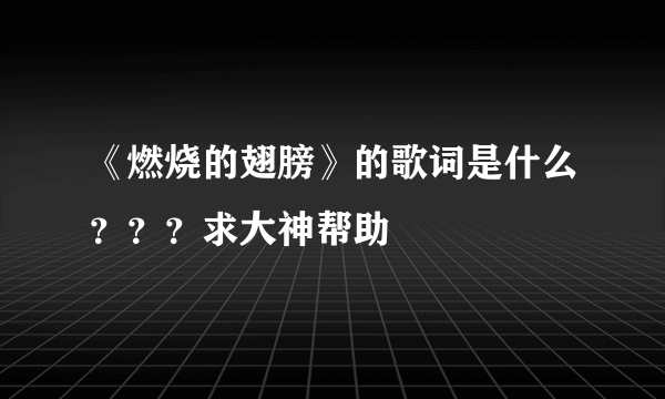 《燃烧的翅膀》的歌词是什么？？？求大神帮助