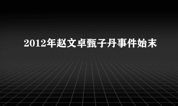 2012年赵文卓甄子丹事件始末