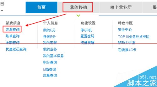 中国移动网上营业厅的通话详单怎么查询？