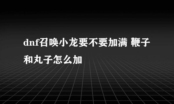 dnf召唤小龙要不要加满 鞭子和丸子怎么加