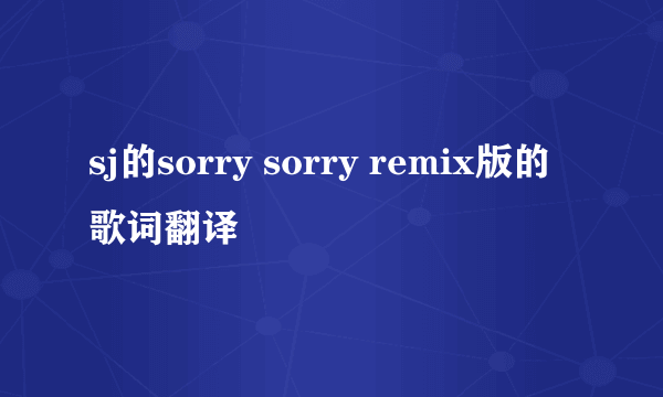 sj的sorry sorry remix版的歌词翻译